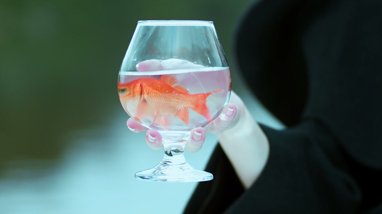 Just Waking in the River 视频短片 缩略图